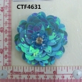 CTF4631