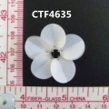 CTF4635