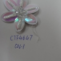 CTF4647