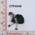 CTF4648