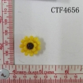 CTF4656