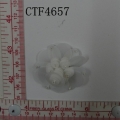 CTF4657