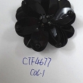 CTF4677
