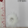 CTF4681