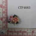 CTF4683