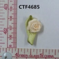 CTF4685