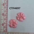 CTF4697