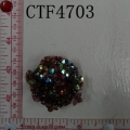 CTF4703