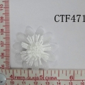 CTF4716