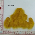 CTF4717