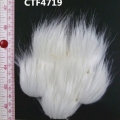 CTF4719