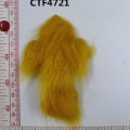 CTF4721