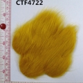 CTF4722
