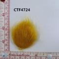 CTF4724