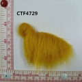 CTF4729