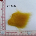 CTF4730