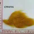 CTF4731