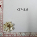 CTF4735