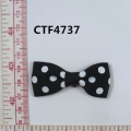 CTF4737