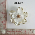 CTF4739