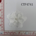 CTF4741