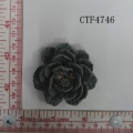CTF4746