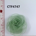 CTF4747