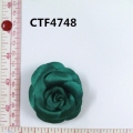 CTF4748