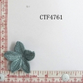 CTF4761