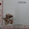 CTF4781