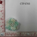 CTF4783