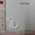 CTF4784