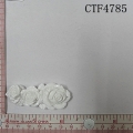 CTF4785