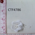 CTF4786