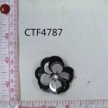 CTF4787