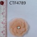 CTF4789