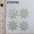 CTF4793