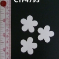 CTF4795