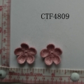 CTF4809