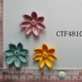 CTF4810