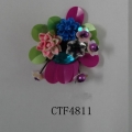 CTF4811