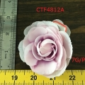 CTF4812A
