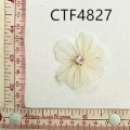 CTF4827