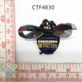 CTF4830