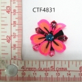 CTF4831