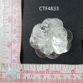 CTF4833
