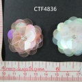 CTF4836