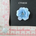 CTF4838