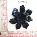 CTF4856