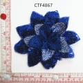 CTF4867